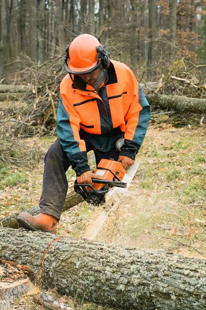 https://forst-service-nord.de/wp-content/uploads/2022/12/forestry-worker-with-chainsaw-is-sawing-a-log-process-of-loggin-682x1024.jpg.webp