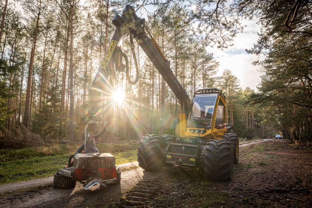 Holzernte: Mit dicken Maschinen durch den Wald