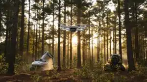innovative forestry technologies explained