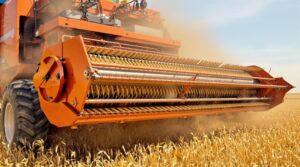 stump grinder operation explained
