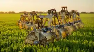 beste Rasenmäher 2025