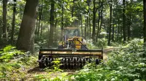 Waldrasenpflege Rasenmäher