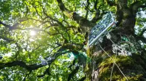 Forsttechnologie und EU-Verordnungen