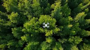 Finanzierungsoptionen für Forsttechnologie