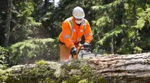 Waldarbeitssicherheitsvorschriften