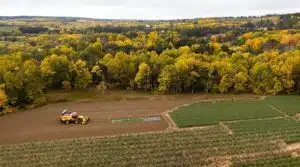 Forstwirtschaftstrends in Schleswig-Holstein