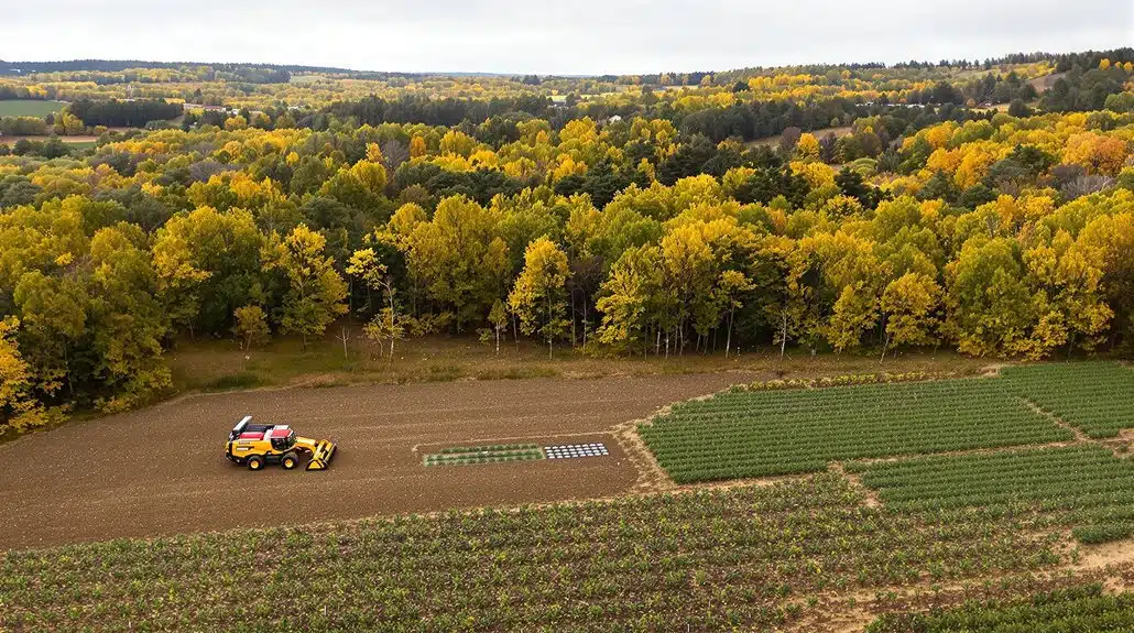 Forstwirtschaftstrends in Schleswig-Holstein