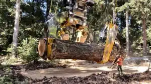Holzklammer-Anwendungen Überblick